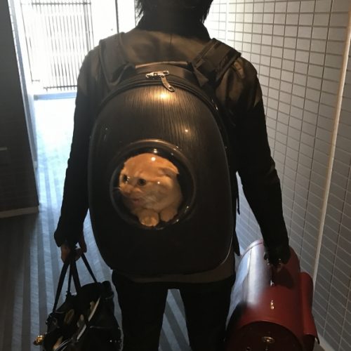男2人のパパは大変なんだな。。
