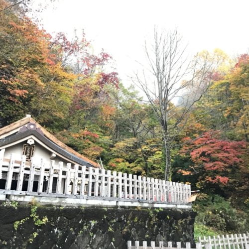 長野県、戸隠神社へ行ってきました!