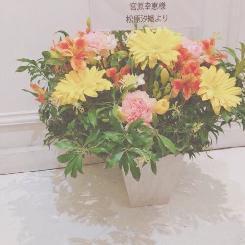 モデルの【松原汐織】ちゃんから素敵なお花頂戴しました♡