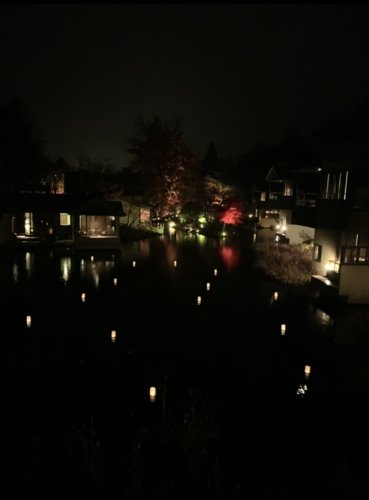 Lilyは遊びも仕事も本気なのです。